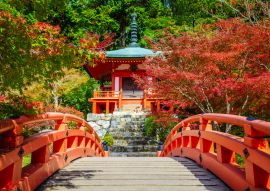 Lais Puzzle - Daigoji-Tempel, Kyoto, Japan - 100, 200, 500 & 1.000 Teile