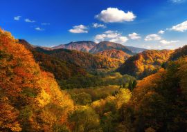 Lais Puzzle - Herbstlich bunter Berg in Tohoku, Japan - 100, 200, 500 & 1.000 Teile