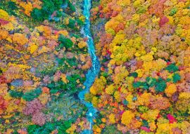 Lais Puzzle - Berg Hakkoda, Japan - 100, 200, 500 & 1.000 Teile