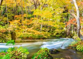 Lais Puzzle - Towada-Hachimantai-Nationalpark, Japan - 100, 200, 500 & 1.000 Teile