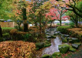 Lais Puzzle - Park von Gifu, Japan - 100, 200, 500 & 1.000 Teile