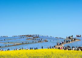 Lais Puzzle - Ibaraki Japan - 100, 200, 500 & 1.000 Teile