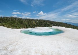 Lais Puzzle - Drachenauge, Japan - 100, 200, 500 & 1.000 Teile