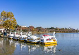 Lais Puzzle - Japan öffentlicher Park Ansicht mit See Hintergrund, Kairakuen Garten, Ibaraki, Japan - 100, 200, 500 & 1.000 Teile
