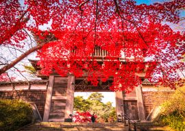 Lais Puzzle - Akita Senshu Park Tor, Japan - 100, 200, 500 & 1.000 Teile