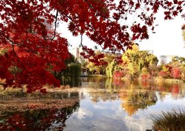 Lais Puzzle - Nakajima Park (Sapporo), Japan - 100, 200, 500 & 1.000 Teile