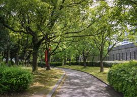 Lais Puzzle - Hiroshima Kunstmuseum, Japan - 100, 200, 500 & 1.000 Teile