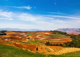 Lais Puzzle - Yunnan Dongchuan Rotes Land, China - 100, 200, 500 & 1.000 Teile