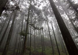 Lais Puzzle - Lushan in Jiujiang Stadt, Jiangxi, China - 100, 200, 500 & 1.000 Teile