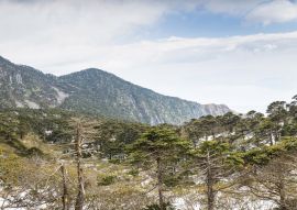 Lais Puzzle - Berg Cang, Yunnan, China - 100, 200, 500 & 1.000 Teile