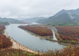 Lais Puzzle - Mangrovenwald in der Morgendämmerung, Anhui, China - 100, 200, 500 & 1.000 Teile