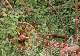 Lais Puzzle - Traktor - 100, 200, 500 & 1.000 Teile