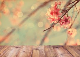 Lais Puzzle - Kirschblüte über Tisch - 100, 200, 500 & 1.000 Teile