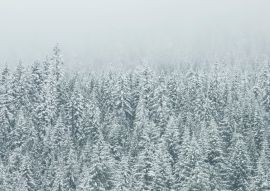 Lais Puzzle - Winterlandschaft - 100, 200, 500 & 1.000 Teile