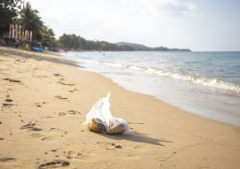 Lais Puzzle - Plastiktüte am Strand - 100, 200, 500 & 1.000 Teile