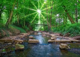 Lais Puzzle - Minden - 100, 200, 500 & 1.000 Teile