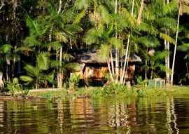 Lais Puzzle - Ribeirinho, Brasilien - 100, 200, 500 & 1.000 Teile