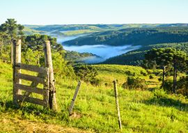 Lais Puzzle - Landschaft der Serra gaúcha, Canela / Brasilien - 100, 200, 500 & 1.000 Teile