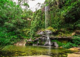 Lais Puzzle - Rosario-Wasserfall in Pirenopolis, Brasilien - 100, 200, 500 & 1.000 Teile