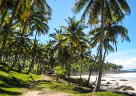 Lais Puzzle - Wunderschöner Itacare-Strand in Brasilien - 100, 200, 500 & 1.000 Teile