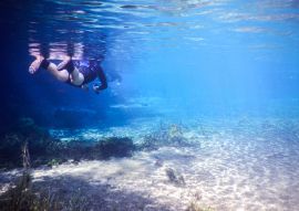 Lais Puzzle - Bonito, Mato Grosso do Sul, Brasilien - 100, 200, 500 & 1.000 Teile