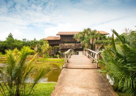 Lais Puzzle - Botanischer Garten in Brasilia, Brasilien - 100, 200, 500 & 1.000 Teile