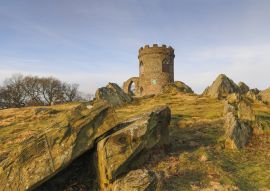 Lais Puzzle - Der alte John im Bradgate Park, England - 100, 200, 500 & 1.000 Teile