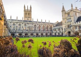 Lais Puzzle - Magdalen College, England - 100, 200, 500 & 1.000 Teile