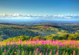 Lais Puzzle - Quantock Hills in Somerset, England - 100, 200, 500 & 1.000 Teile