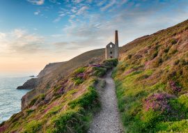 Lais Puzzle - Nebliger Sommerabend auf dem South West Coast Path, England - 100, 200, 500 & 1.000 Teile