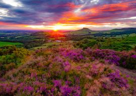 Lais Puzzle - Roseberry Topping, Nord-Yorkshire, England - 100, 200, 500 & 1.000 Teile
