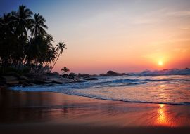 Lais Puzzle - Tropischer Strand Maui Hawaii - 100, 200, 500 & 1.000 Teile