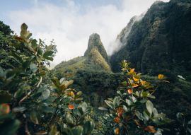 Lais Puzzle - Maui Hawaii - 100, 200, 500 & 1.000 Teile