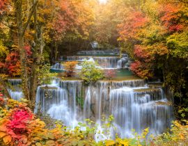 Lais Puzzle - Wasserfall im Wald - 40 Teile