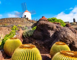 Lais Puzzle - Kaktusgarten, Jardin de Cactus in Guatiza, Lanzarote, Kanarische Inseln, Spanien - 40 Teile