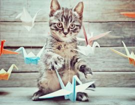 Lais Puzzle - Kleine Katze spielt mit bunten Papierkränen - 40 Teile