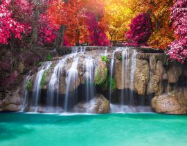 Lais Puzzle - Wasserfall im Regenwald - 40 Teile