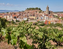 Lais Puzzle - Dorf Navarrete, La Rioja, Spanien - 40 Teile