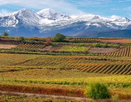 Lais Puzzle - Weinberge mit San Lorenzo Berg als Hintergrund, La Rioja, Spanien - 40 Teile