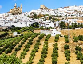 Lais Puzzle - Pueblo Blancos - Olvera, Cadiz, Andalusien, Spanien - 40 Teile