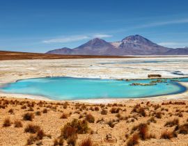 Lais Puzzle - Wunderschöne Landschaft der heißen Quellen Polloquere, in Salt Surire, Isluga Volcano National Park, mehr als 4000 Meter entfernt, Chile - 40 Teile
