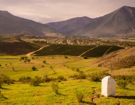 Lais Puzzle - Kakteen, Berge und Täler in der Nähe der Stadt Vicuña Vicuna. Elqui-Tal in Chile - 40 Teile