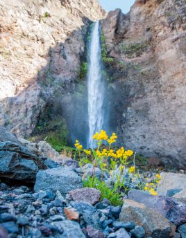 Lais Puzzle - Riesiger Wasserfall in der Wüste. Detail des Wüstenlebens. Antuco Vulkan schwarze Vulkanwüste. Blühende Blumen, Bäume und Steine in der Nähe des Baches. - 40 Teile