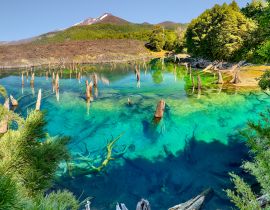 Lais Puzzle - Lago Arcoiris bei Conguillio N.P. (Chile) - 40 Teile