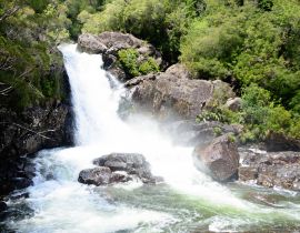 Lais Puzzle - Wasserfall im Alerce Andino Nationalpark, Chile - 40 Teile