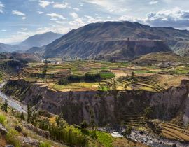 Lais Puzzle - Blick auf Terrassenfelder und den Fluss Colca im Colca Canyon im Süden Perus, im Departement Arequipa - 40 Teile