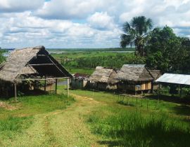 Lais Puzzle - Traditionelle Amazonas-Wohnungen in einem Dorf in der Nähe des Maranon-Flusses, Peru - 40 Teile