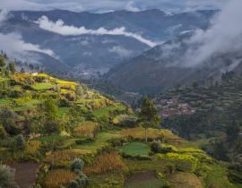 Lais Puzzle - Landwirtschaftliche Terrassen über Tarma, Junin, Peru, Südamerika - 40 Teile