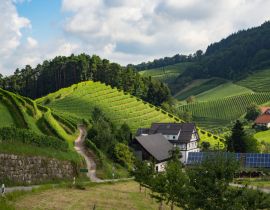Lais Puzzle - Ein Spaziergang durch die Gemeinde Durbach im Ortenaukreis, Deutschland - 40 Teile