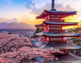 Lais Puzzle - Fujiyoshida, Japan Schöne Aussicht auf den Mount Fuji und die Chureito-Pagode bei Sonnenuntergang, Japan im Frühling mit Kirschblüten - 40 Teile